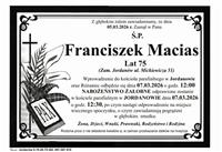 Pokaż zdjęcie w powiększeniu Gołębie zdjęcie